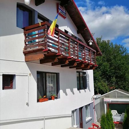 Vila Darian Villa Buşteni Exterior foto
