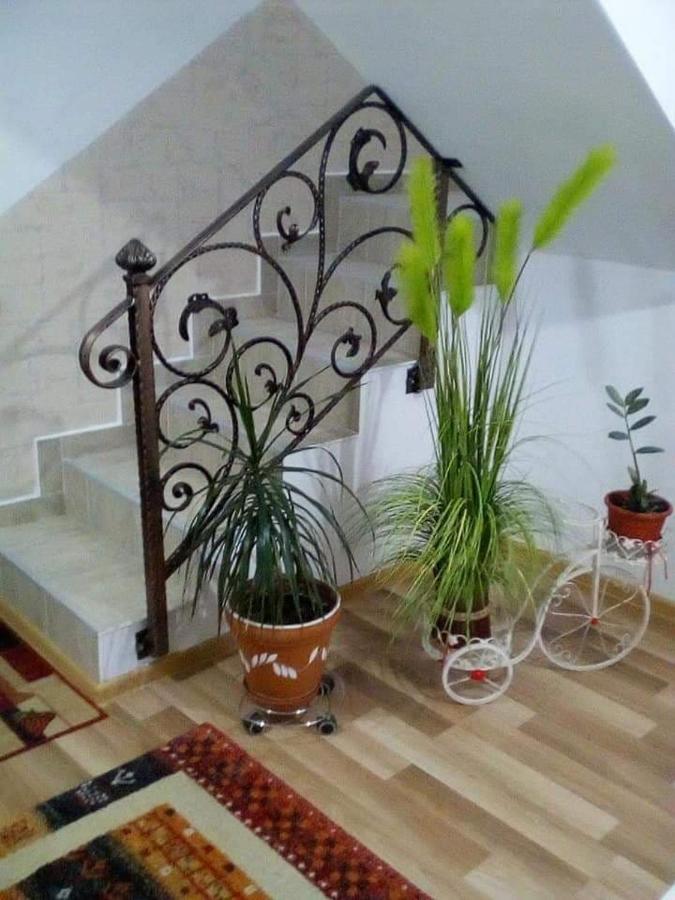 Vila Darian Villa Buşteni Exterior foto