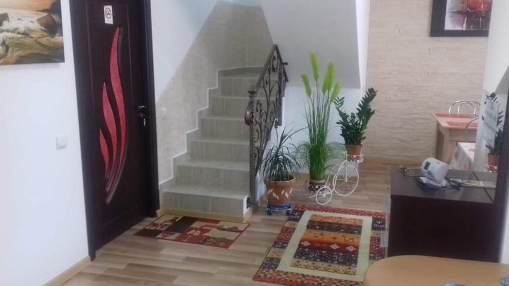 Vila Darian Villa Buşteni Exterior foto