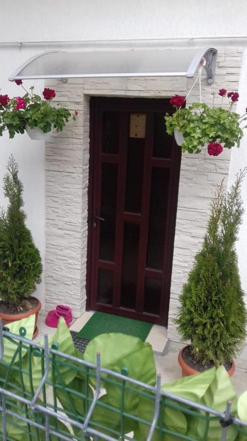 Vila Darian Villa Buşteni Exterior foto