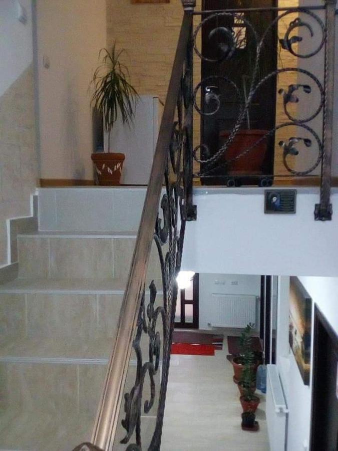 Vila Darian Villa Buşteni Exterior foto