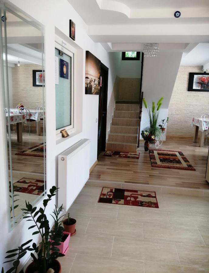 Vila Darian Villa Buşteni Exterior foto