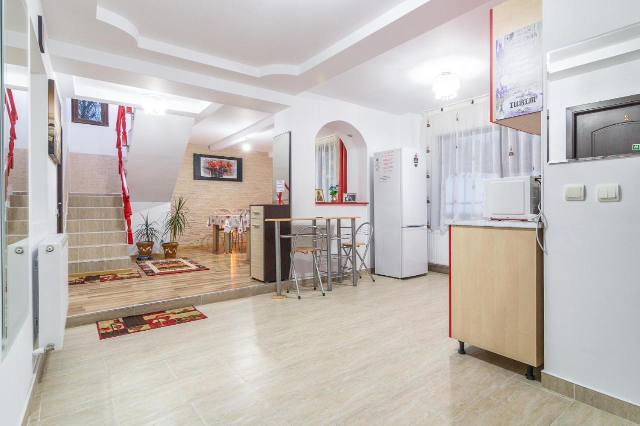 Vila Darian Villa Buşteni Exterior foto